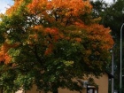 head_banner_Podzim
