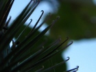 head_banner_bodlak