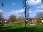 WP_20150502_010