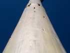 WP_20150502_013