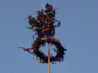 dsc01955