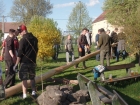 SAM_5823