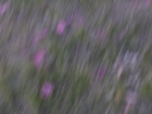 100_3009