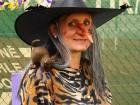 DSC08767