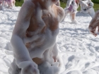 DSC02703