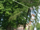 DSC05552