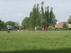 DSC08551