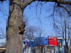 DSC01020
