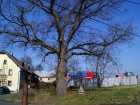 DSC01021