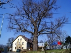 DSC01023
