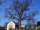 DSC01025