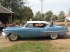 SAM_6175 SAM_6175
