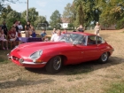 SAM_6177 SAM_6177