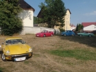 SAM_6184 SAM_6184