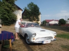 SAM_6191 SAM_6191