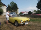 SAM_6194 SAM_6194
