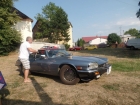 SAM_6203 SAM_6203