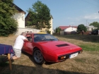 SAM_6204 SAM_6204