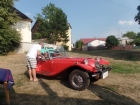 SAM_6208 SAM_6208