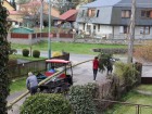 IMG_1401