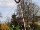 IMG_1413