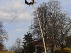 IMG_1414