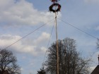 IMG_1422