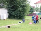 IMG_0138