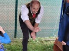 IMG_0299